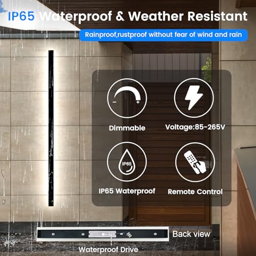 Exterior Wall Lights for House (2 Count)