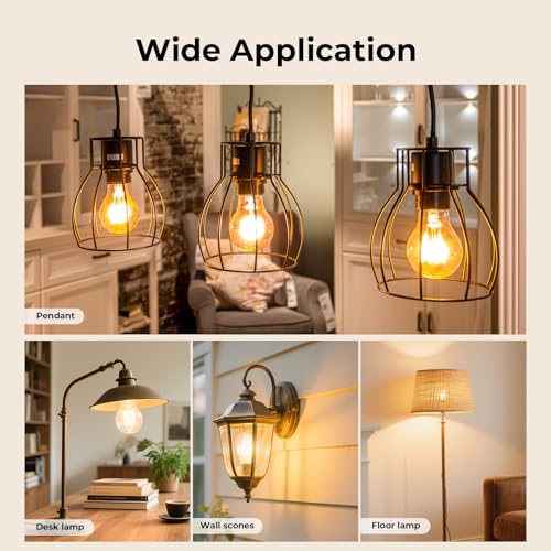 A19 Clear light Bulbs (24 Count)