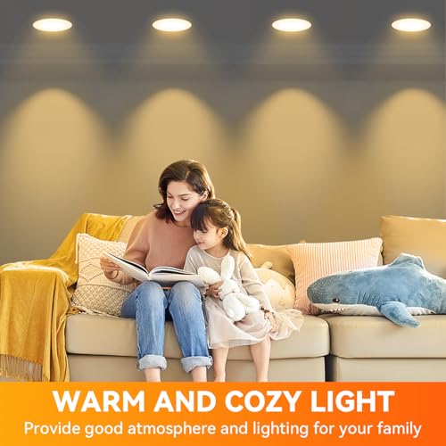 24 Pack BR30 Flood Light Bulb Indoor (24 Count)