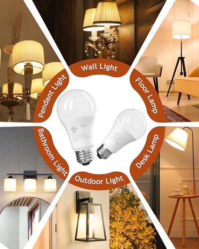 LED Light Bulbs (12 Count)