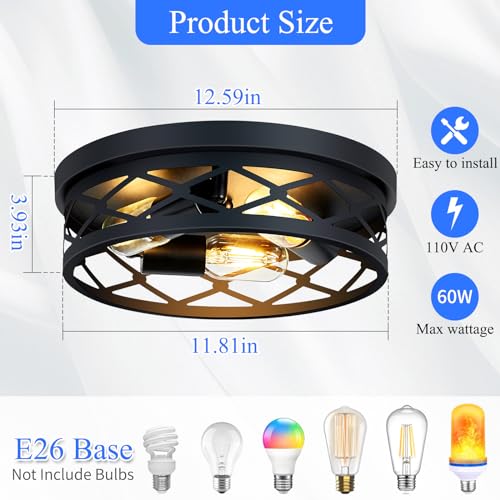 Flush Mount Ceiling Light Fixture