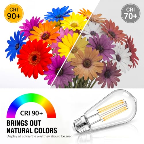 12 Pack Dimmable LED Edison Light Bulbs