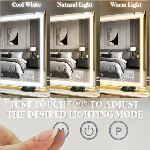 Large Vanity Mirror with Lights