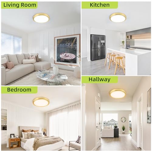 9 Inch Selectable CCT LED Round Flat Panel Light