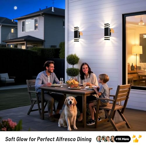 Outdoor Wall Sconce 2 (2 Count)
