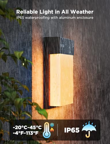 Outdoor Wall Light