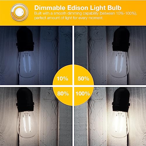 8 Pack Vintage LED Edison BulbsE26 Led Bulb 60W EquivalentDimmable Led Light BulbsHigh Brightness 800 LM Daylight 5000KST58 Antique LED Filament BulbsClear Glass Style for Home ADSND8US1 (8 Count)