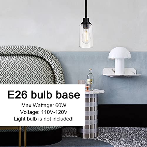 Black Pendant Light 1