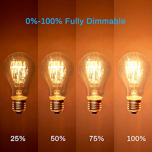 Warm Edison Light Bulbs (6 Count)