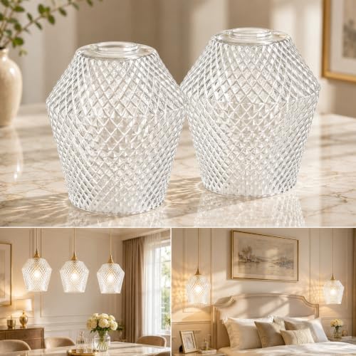 2Pcs Small Glass Lamp Shades (2 Count)