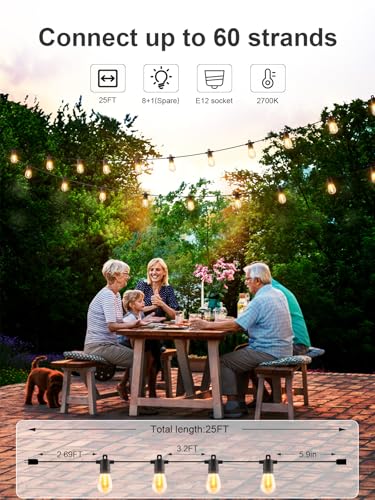 Outdoor String Lights LED 25 FT (25 Foot)