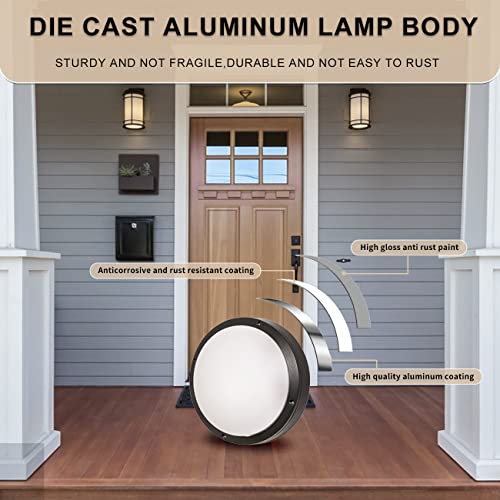 Flush Mount Ceiling Light