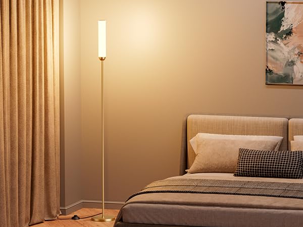 LED Floor Lamp with Remote Control