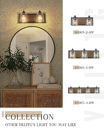 16" 2 Light Farmhouse Bathroom Vanity Light with Bubble Glass