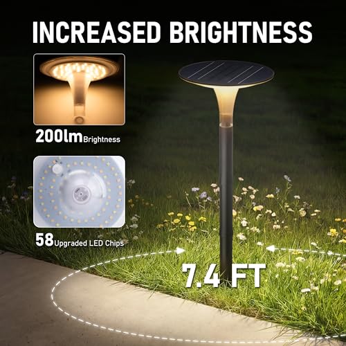 Solar Pathway Lights 2 Pack (2 Count)