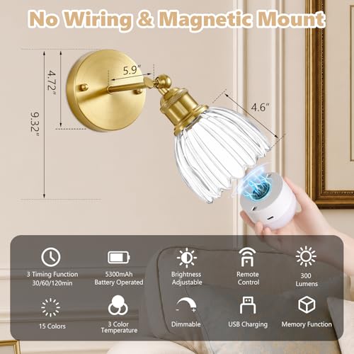 Vintage Battery Operated Wall Sconce