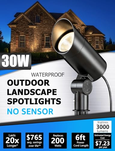30W Spot Lights Outdoor LED Spotlight 120V 3000LM Ultra Bright Flag Pole Light with Metal Stake (2 Count)