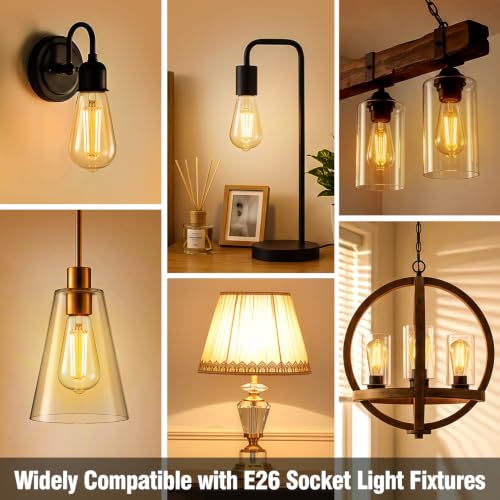 12 Pack Dimmable LED Edison Light Bulbs