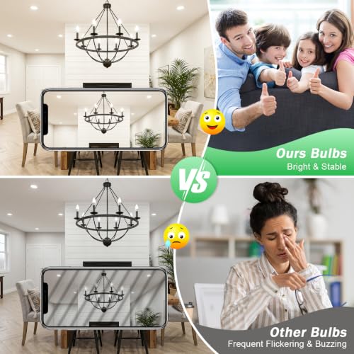 E12 LED Bulbs (12 Count)