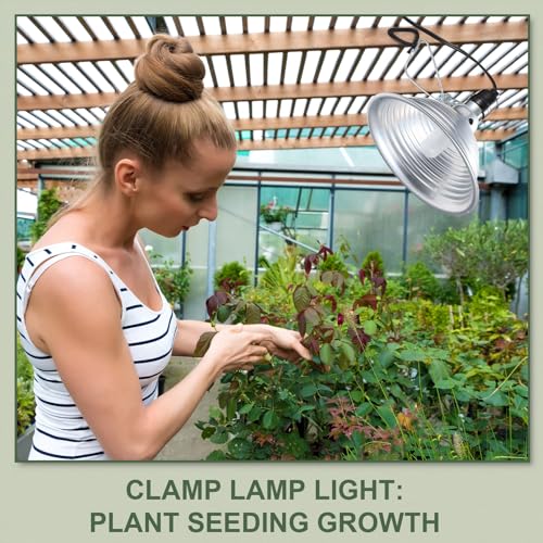6 Pcs Adjustable Clamp Lamp Light with Aluminum Reflector Up to 150 Watt
