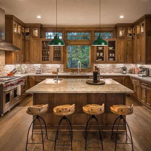 Plug in Pendant Light