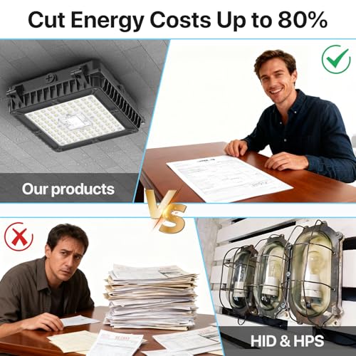Commercial Canopy Light 65W (4 Count)