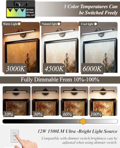 Hardwired Picture Light for Wall (Black / 39 inches)