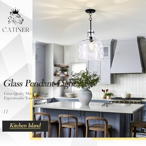 16" Farmhouse Hammered Glass Pendant Light
