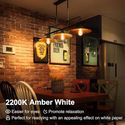 LED Edison Light Bulbs