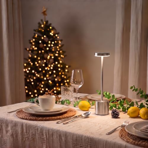 Silver Cordless Table Lamp 2Pack Rechargeable Portable Table Light