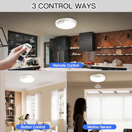 2 Pack Newly Upgraded 8000mAh Rechargeable Ceiling Light (2 Count)