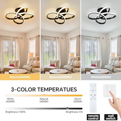 Modern Ceiling Light