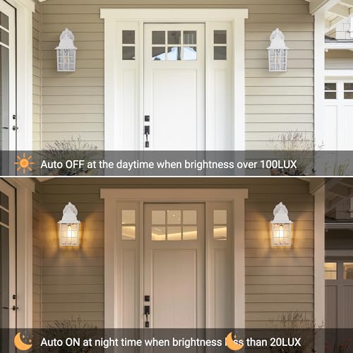 Dusk to Dawn Outdoor Light Fixture