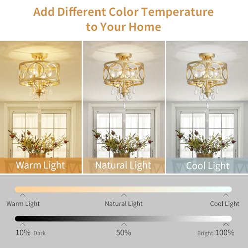 Crystal Ceiling Light Fixture