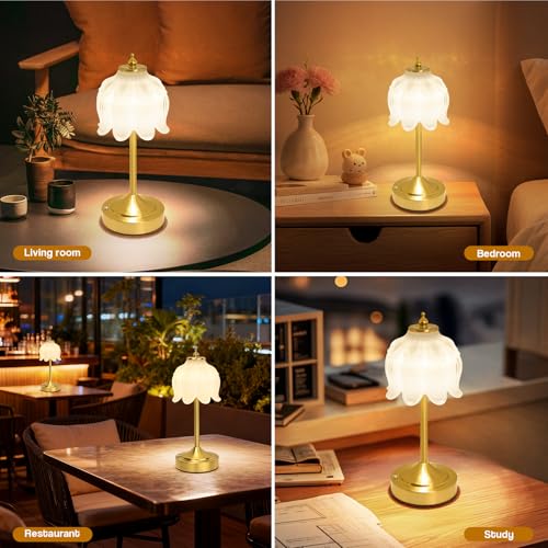 Cordless Table Lamp