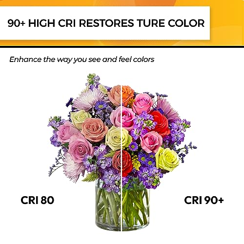 Candelabra Light Bulbs 5000K (6 Count)