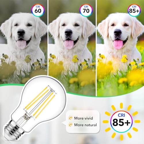 60W Equivalent E26 LED Filament Light Bulbs (4 Count)