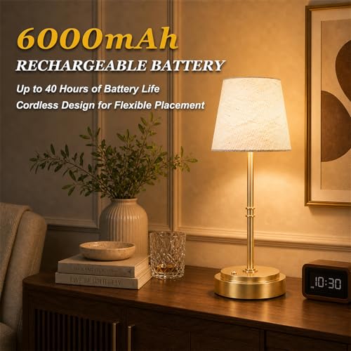 Rechargeable Cordless Table Lamp