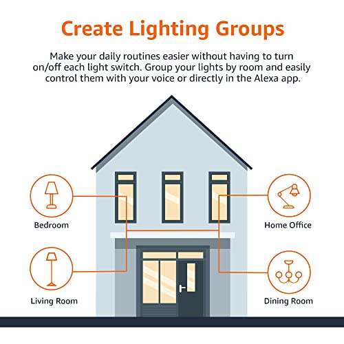 Smart A19 LED Light Bulb