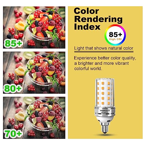 LED Light Bulbs (3 Count)