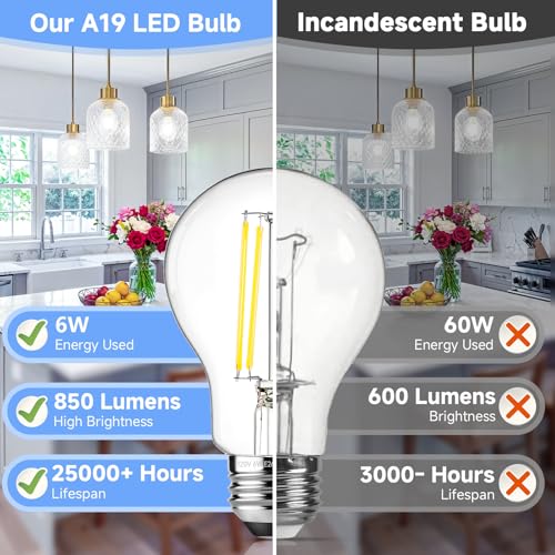 A19 Vintage LED Edison Light Bulbs 60W Equivalent (4 Count)