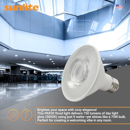 Reflector PAR30 LED Bulb (24 Count)