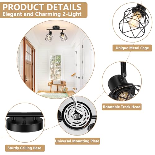 2 Lights Kitchen Light Fixtures Ceiling Mount