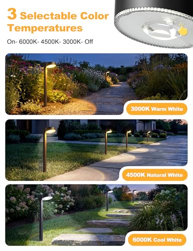 8 Pack Solar Pathway Lights Outdoor (8 Count)