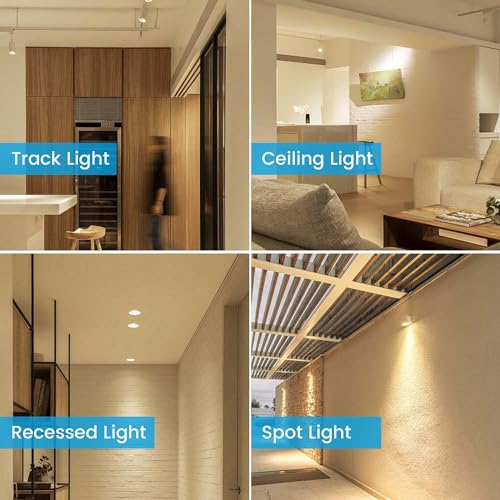 MR16 LED Bulbs