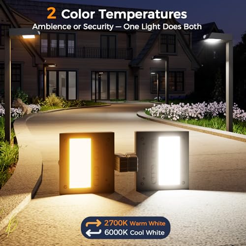 Solar Pathway Lights