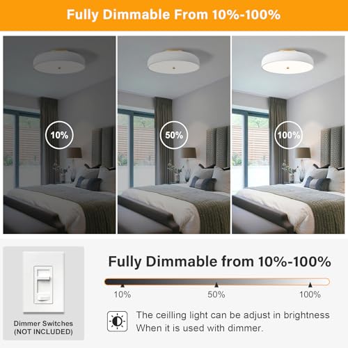 Dimmable LED Ceiling Light Fixture