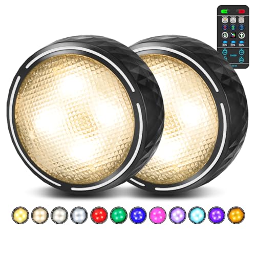Puck Lights with Remote (2 Count)