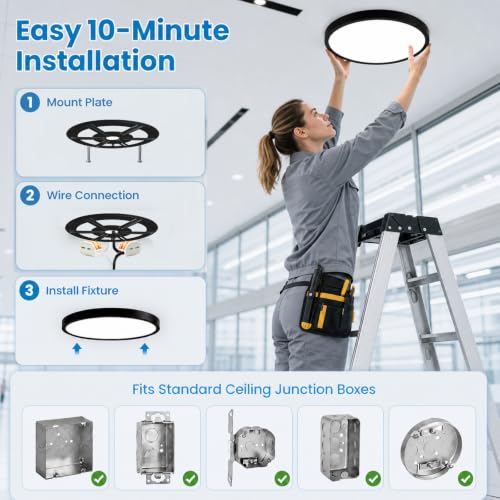 16in 32W 3CCT Commercial LED Flush Mount Ceiling Light Black (Black)