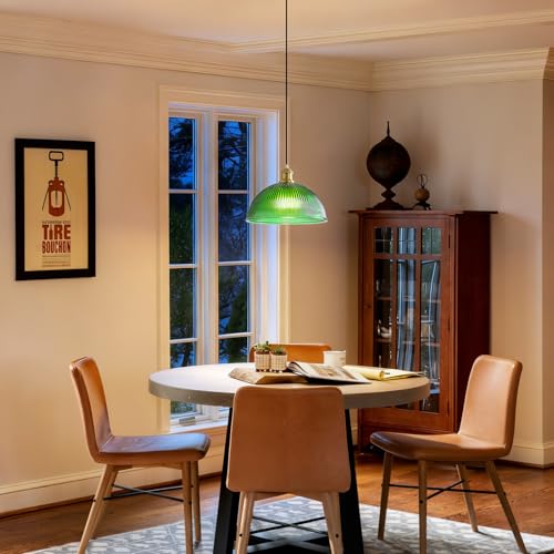 Plug in Pendant Light